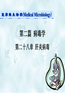 《肝炎病毒》PPT课件