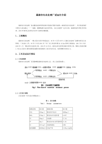 巢湖市污水处理厂试运行介绍