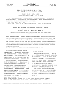 城市污泥中磷的释放与回收