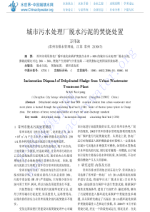 城市污水处理厂脱水污泥的焚烧处置