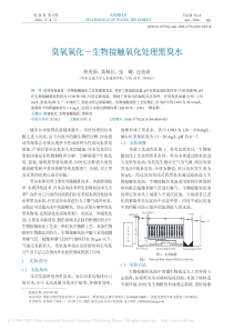 臭氧氧化生物接触氧化处理黑臭水鲁秀国