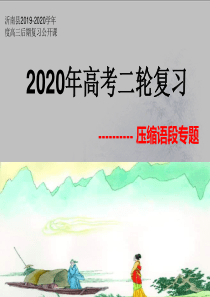 高三复习压缩语段