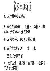 论点分论点