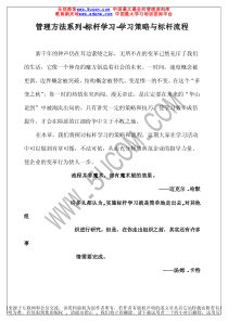 管理方法系列标杆学习学习策略与标杆流程