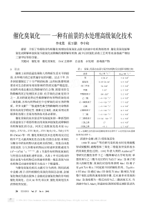 催化臭氧化一种有前景的水处理高级氧化技术