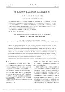 催化臭氧氧化法处理煤化工高盐废水任明