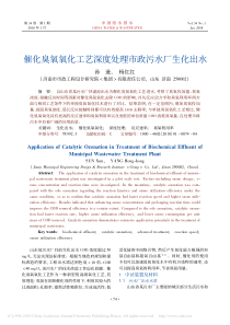催化臭氧氧化工艺深度处理市政污水厂生化出水孙逊