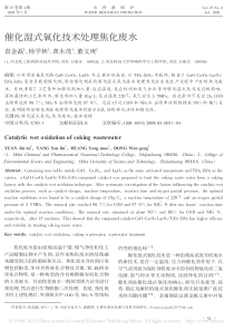 催化湿式氧化技术处理焦化废水袁金磊