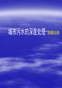 氮磷的去除