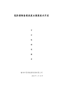 低阶煤制备高浓度水煤浆技术开发可行性报告