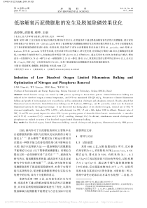 低溶解氧污泥微膨胀的发生及脱氮除磷效果优化高春娣