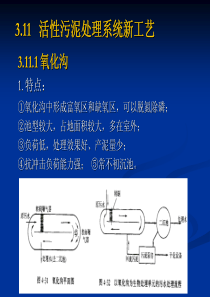 第03章远程活性污泥法3