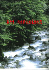 第6章污水的自然生物处理