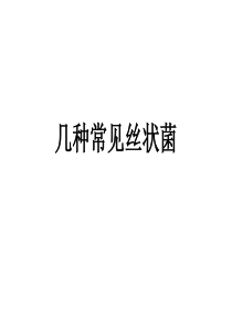 第二章几种常见丝状菌