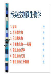 第九章微生物的遗传与变异10