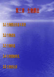 第三章生物膜法