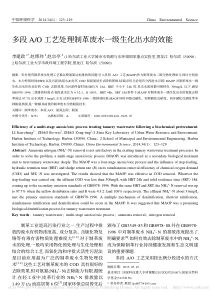 多段AO工艺处理制革废水一级生化出水的效能李建政