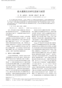 废水灌溉农田研究进展与展望王风