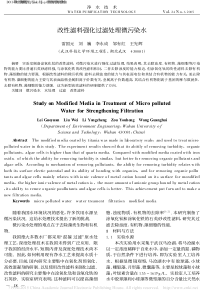 改性滤料强化过滤处理微污染水雷国元