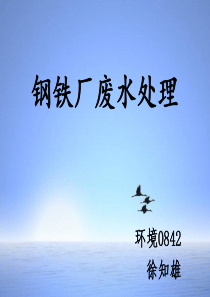 钢铁厂废水处理