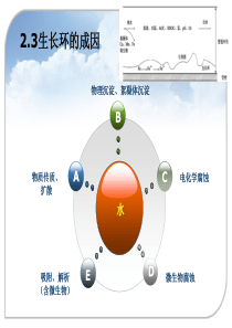 给水管道卫生学第二部分