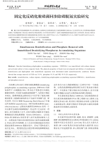 固定化反硝化聚磷菌同步除磷脱氮实验研究唐艳葵