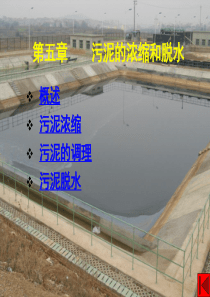固体废弃物的处理与处置5污泥的浓缩和脱水