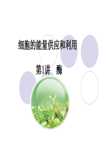 细胞的能量供应和利用---一轮复习