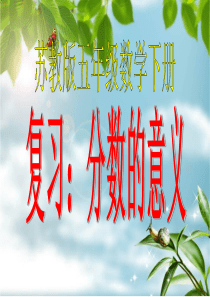 苏教版小学数学五年级下册总复习-(2)