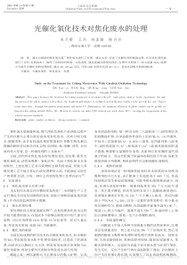 光催化氧化技术对焦化废水的处理朱天菊