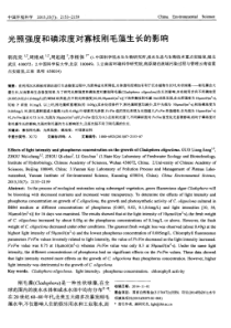光照强度和磷浓度对寡枝刚毛藻生长的影响