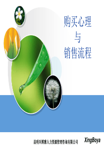 购买心理与销售流程