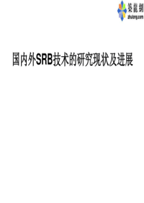国内外SRB技术的研究现状及进展