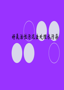 好氧活性污泥法处理水污染