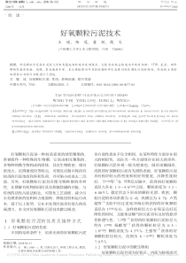 好氧颗粒污泥技术王瑛