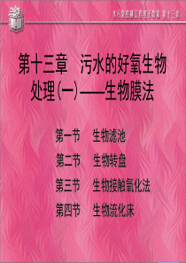 好氧生物处理生物膜法