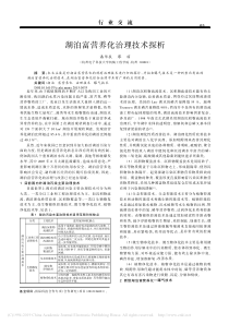湖泊富营养化治理技术探析潘华辰