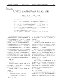 化学沉淀法处理离子交换含盐废水试验王晓晖