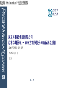 追求卓越管理——XX组织提升与流程再造项目