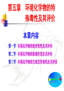 环境化学物的特殊毒性及其评价