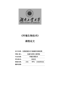 环境生物技术论文
