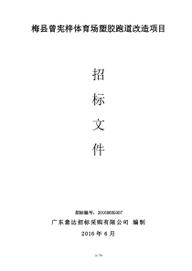 梅县曾宪梓体育场塑胶跑道改造项目