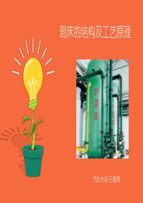 混床的结构及工艺原理