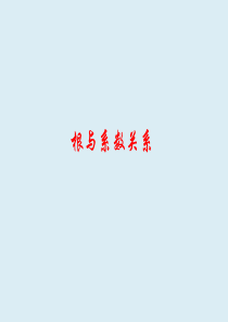 根与系数关系