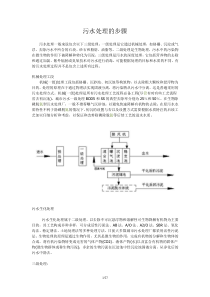 活性污泥处理技术