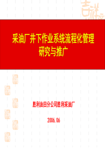 采油厂井下作业系统流程化管理研究与推广