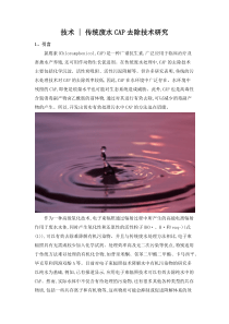 技术传统废水CAP去除技术研究