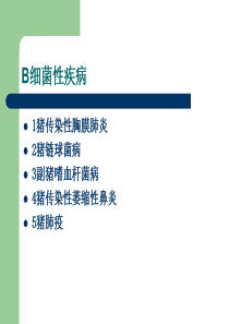 猪的呼吸道疾病