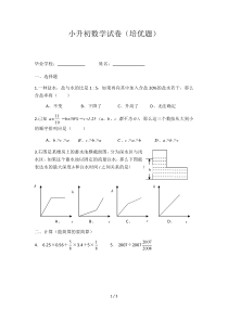小升初数学试卷(培优)
