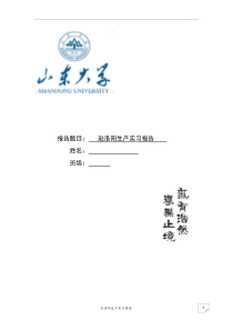 山东大学洛阳生产实习报告